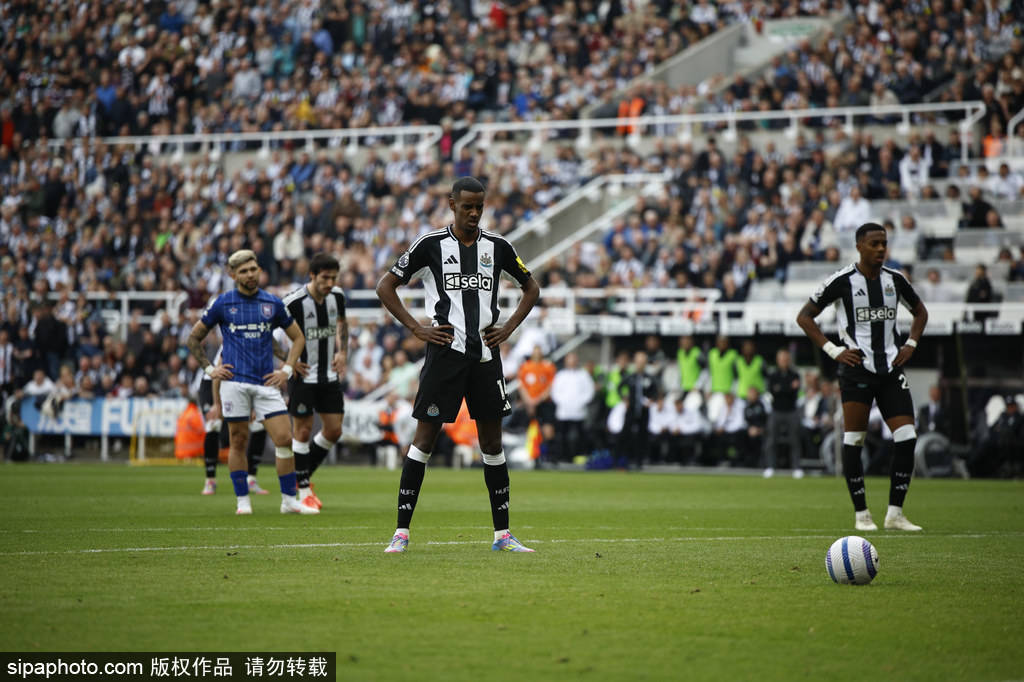 总能专注于 总能专注于