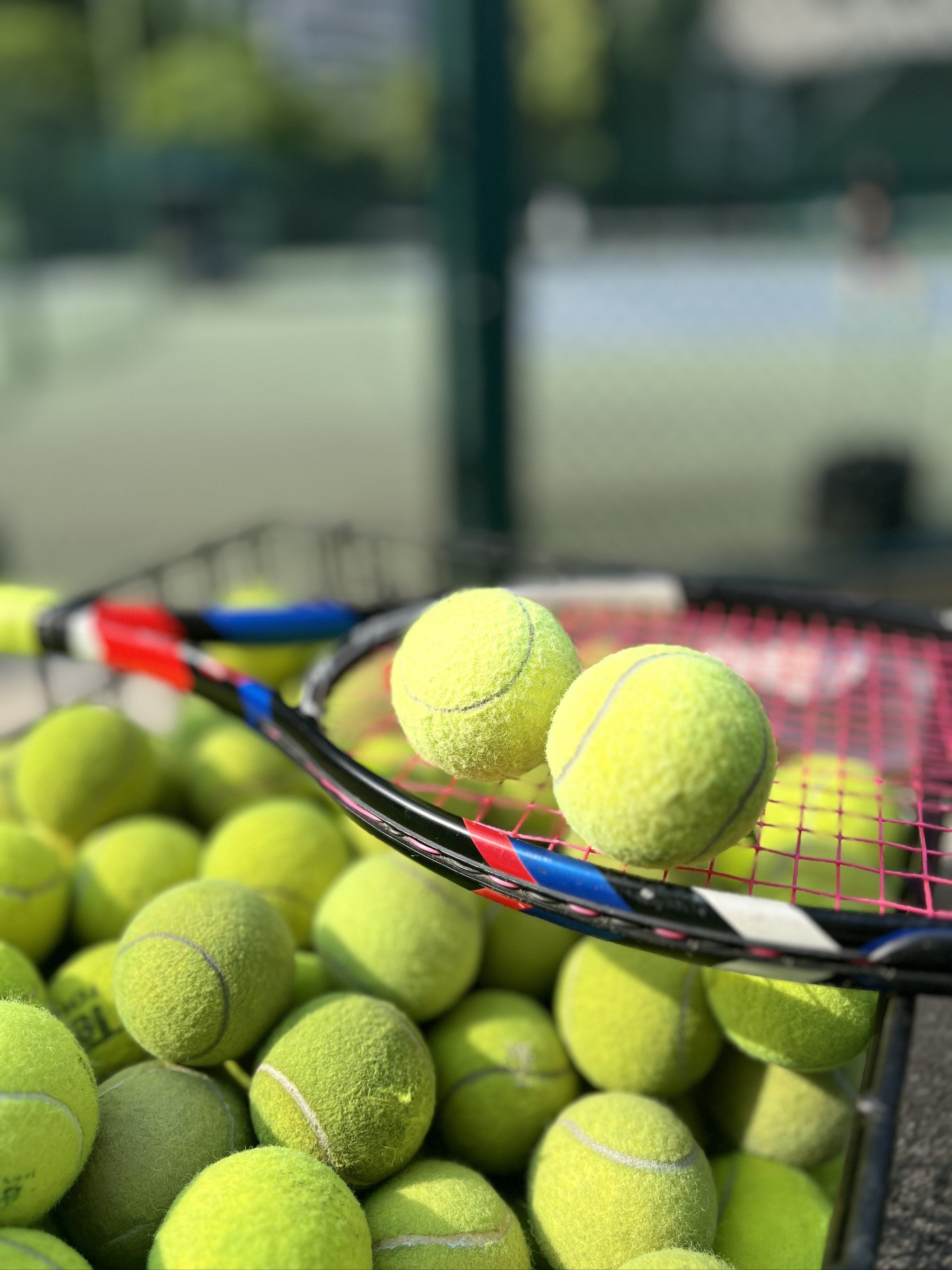 一些企业也 一些企业也