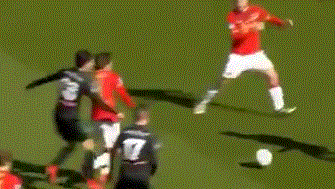 新的期望 新的期望