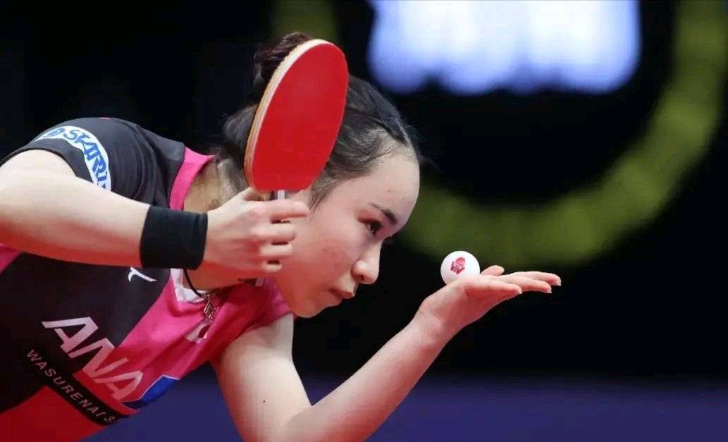 南的壮举 南的壮举